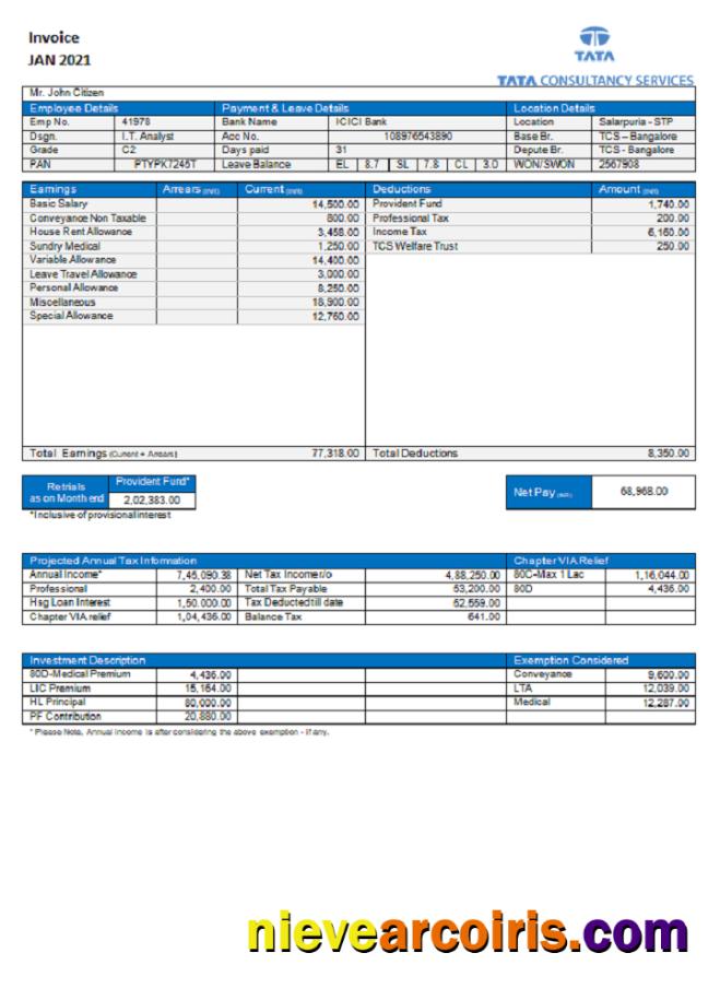 USA Tata Consulting Services invoice